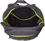 Puma 26 Ltrs Asphalt Casual Backpack (7358117)