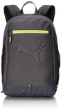 Puma 26 Ltrs Asphalt Casual Backpack (7358117)